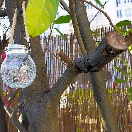Koala Wakeup Hotel
